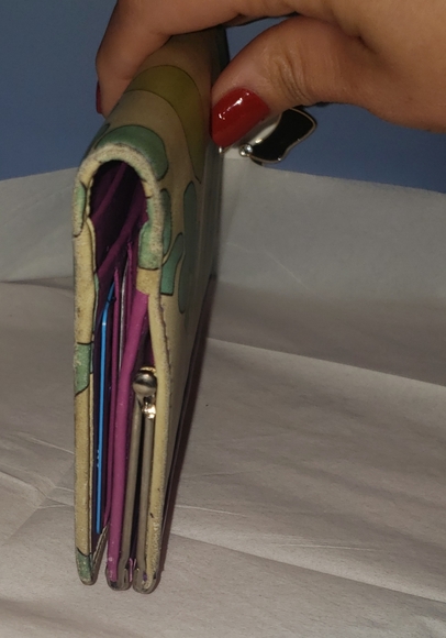 Pucci - Picture 6 of 8